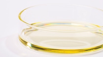 Photo of liquid Vitamin A in a petri dish