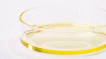 Photo of liquid Vitamin D3 in a petri dish