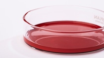 Photo of liquid Lutein in a petri dish