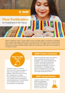 Title of flyer Flour Fortification Title of flyer Flour Fortification
